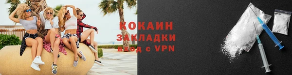 стафф Дмитровск