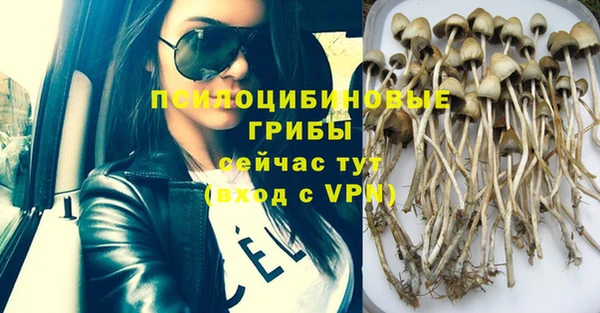 дурь Дмитриев
