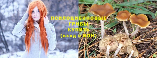ALPHA PVP Дмитров
